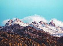 彩经网官网首页-王楚钦、孙颖莎将出战WTT新加坡大满贯赛