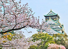 彩经网官网首页-王楚钦、孙颖莎将出战WTT新加坡大满贯赛